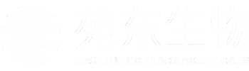 凯发K8官网首页登录,凯发k8(中国)天生赢家,K8凯时·国际官方网站生物